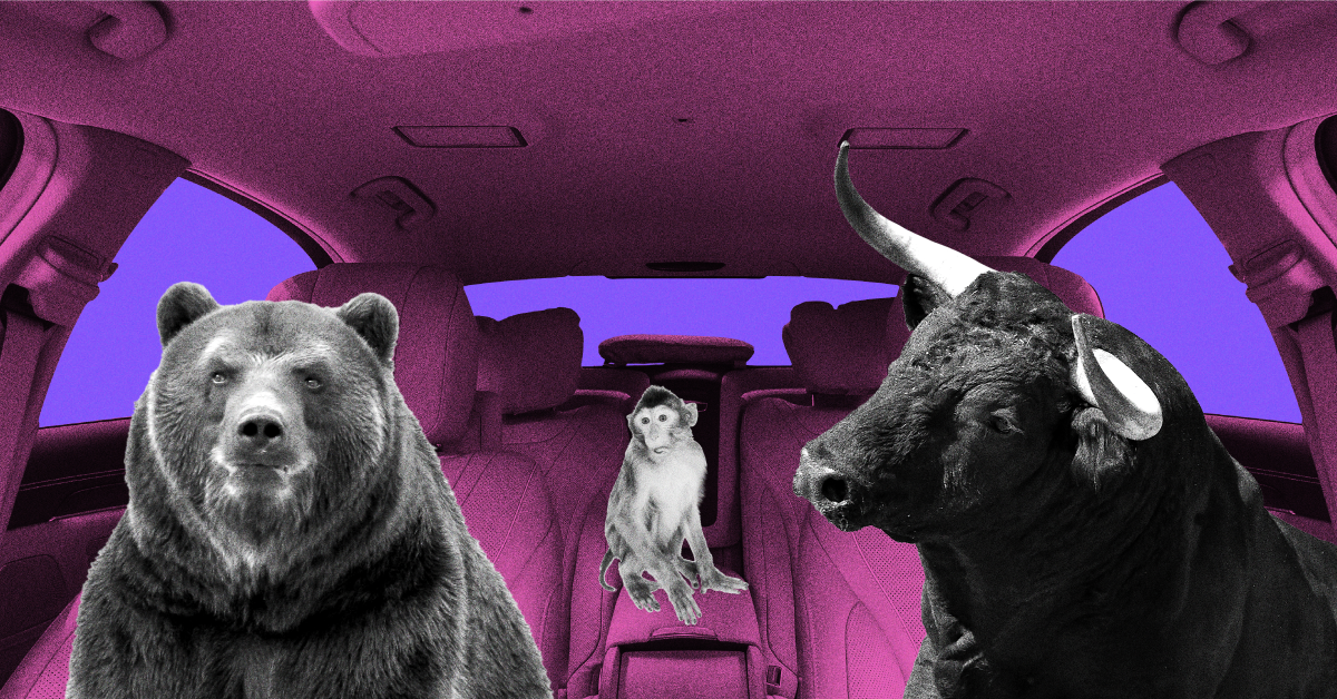 Bear, Bull and Buffoon