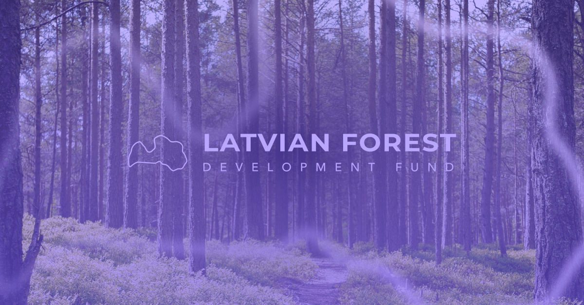Latvian Forest Development Fund logo on forest background Debitum