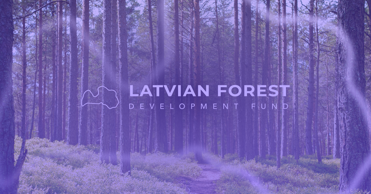 Latvian Forest Development Fund: A New Note Issuer on Debitum Investments